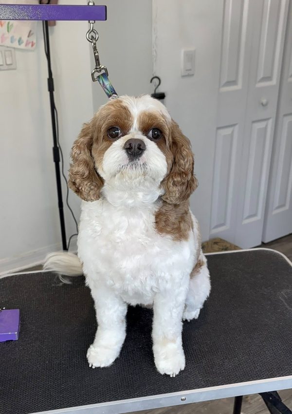 717130150_1634239237656044_5128100898957216388_n